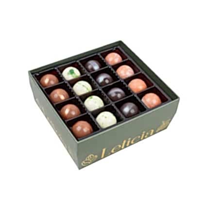 Leticia Karakteristik (16'lı)